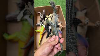 Hunting Jurassic World Toy Dinosaur Collection ASMR