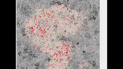 Another interesting combination of Cellular Automaton rules - 