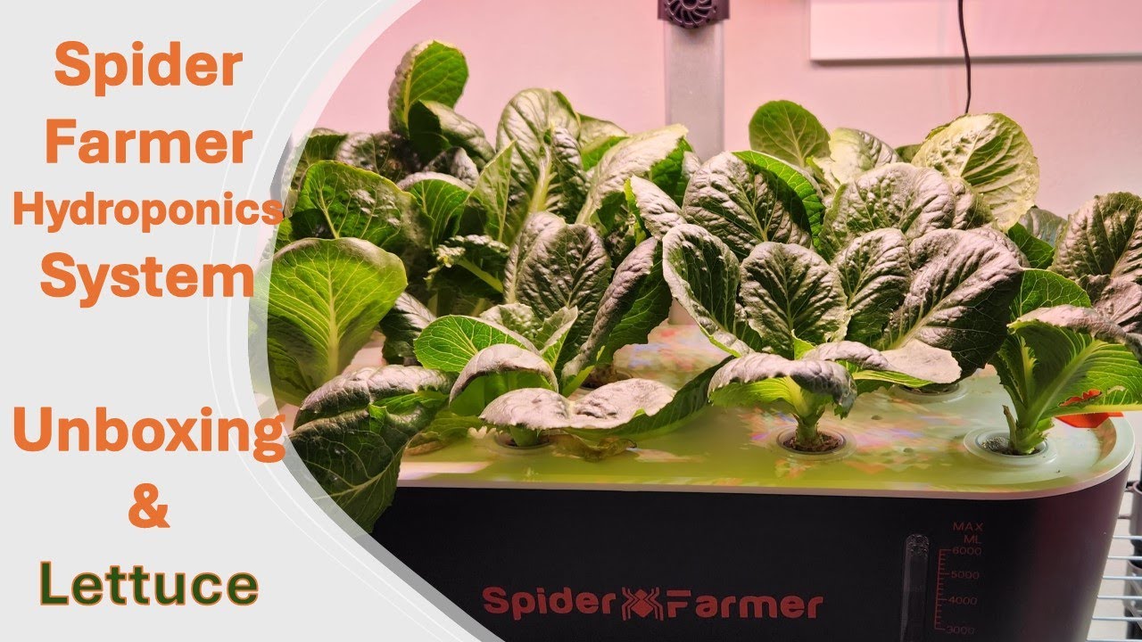 Spider Farmer Hydroponics System [2023] - Unboxing & Grow Lettuce