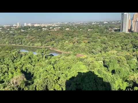 Vídeo mostra o lago do Parque do Ingá seco