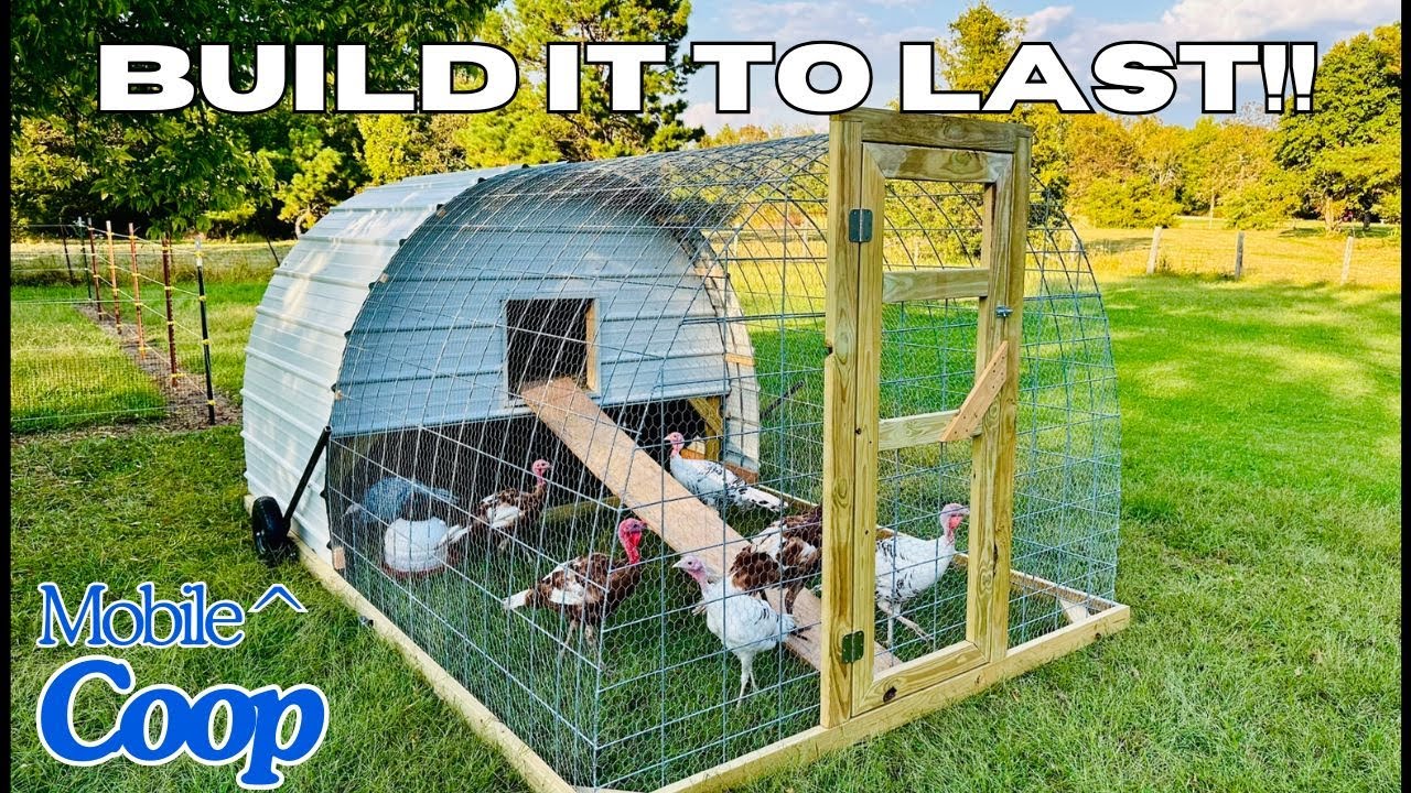 Как мы сделали куриный трактор из панелей для скота | Трактор для индеек | Hoop Coop