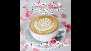 Salam GIF