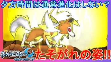ポケモンウルトラムーンルガルガン ポケモンウルトラムーンルガルガン