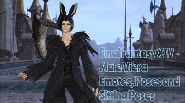 Final Fantasy XIV - Male Viera All Emotes, Poses and Sitting Poses