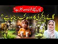 Newborn Baby Ko Konsa Doodh Dena Chahiye? Best Milk Options!