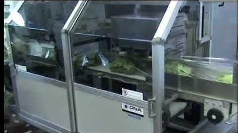 AV 550 - Horizontal flow pack machine for loose product (Salad)