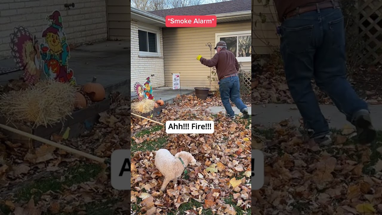 Fire Safety in a Deaf Home
