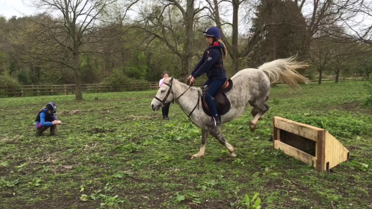 Cardiff Riding School Rosie 💘 YouTube
