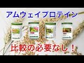 【アムウェイ】プロテイン【解説】