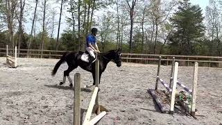 Opal- jump school