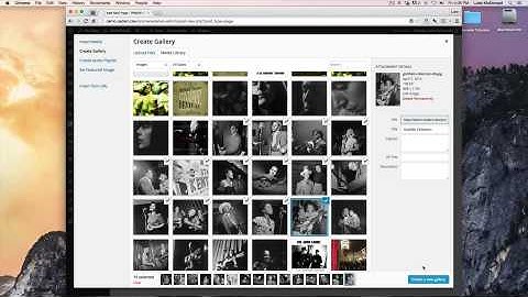 Promenade: Photo Gallery Page Setup
