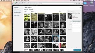 Promenade: Photo Gallery Page Setup