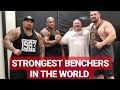 STRONGEST BENCHERS IN THE WORLD | KIRILL SARYCHEV AND SCOT MENDELSON