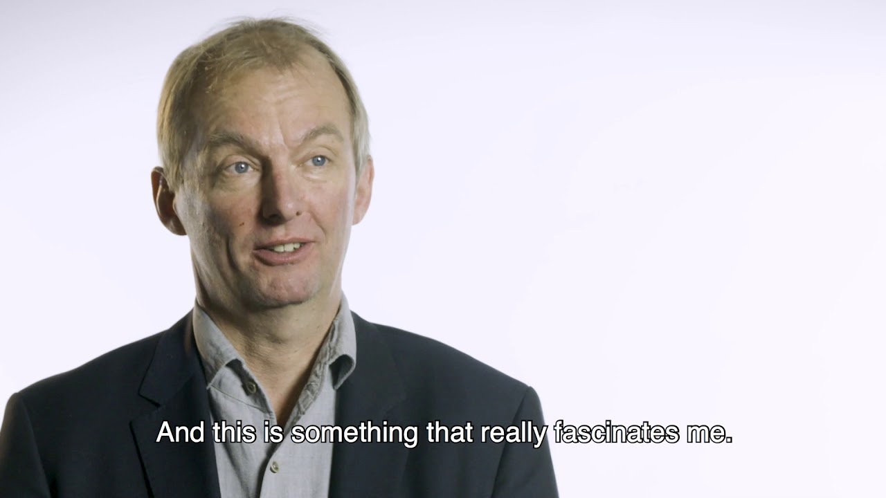 LOFAR Survey (short)