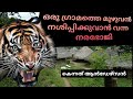 What a Man-eater did to people in a village | Hunting Story | Latest Episode|  Malayalam| Tiger |