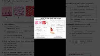 chapter-3 tissues in action( class -9 )