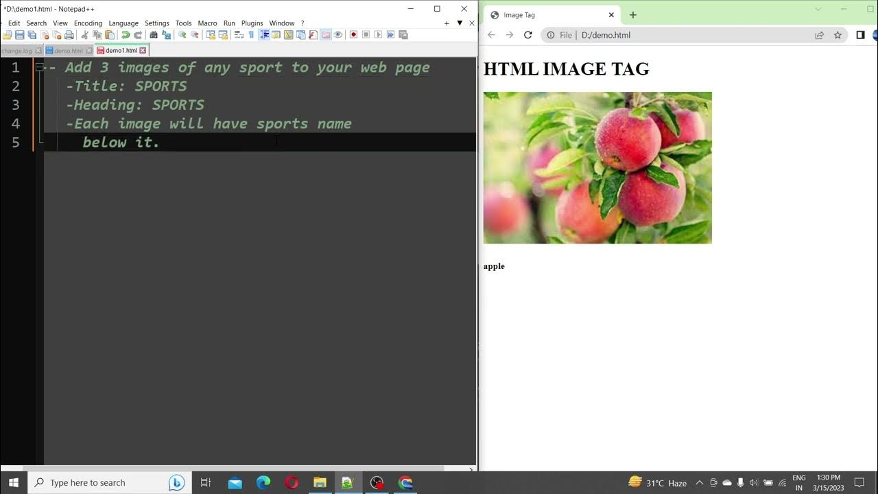 Assignment image tag | HTML | CSS | practice - YouTube