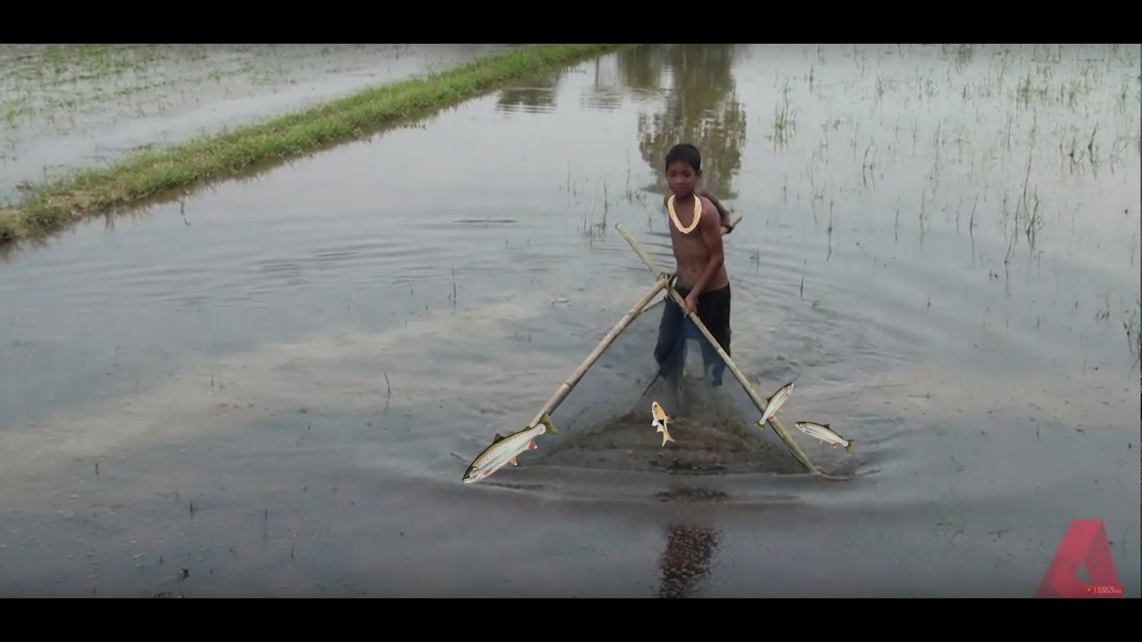 Scenic Sylhet  3  Amar Gao