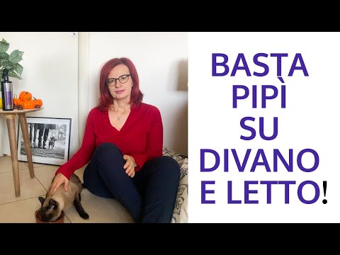 Video: Come Impedire A Un Gatto Di Fare Pipì A Letto?