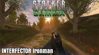The HATED Night Time BANDIT - GAMMA INTERFECTOR Ironman