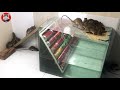 Water mouse trap 2020  how to trap mice from water glass cages