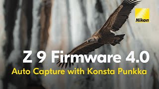 Nikon Z 9 Firmware 4.0 Upgrade| Auto Capture | Wildlife Photography