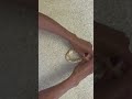 カルダモンロールの作り方