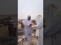 عجيب انت ياربي افهوس افنوتي