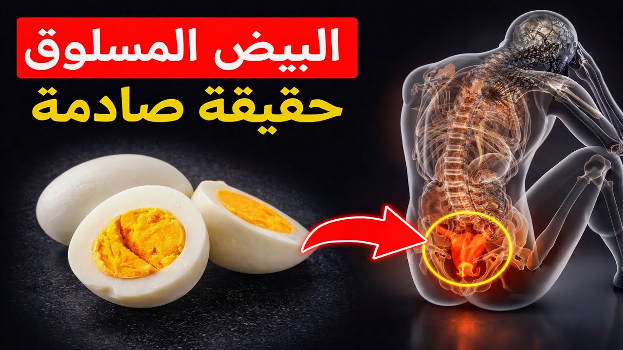 مفاجأة صحية: تناول بيضتين فقط يوميًا يغيّر جسمك بهذا الشكل!