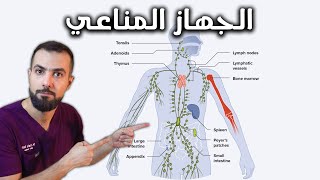 شرح رائع لمكونات الجهاز المناعي وكيف تحافظ عليه وتجعله جاهز ضد الحساسيه والفيروسات. درع الجسم المنيع