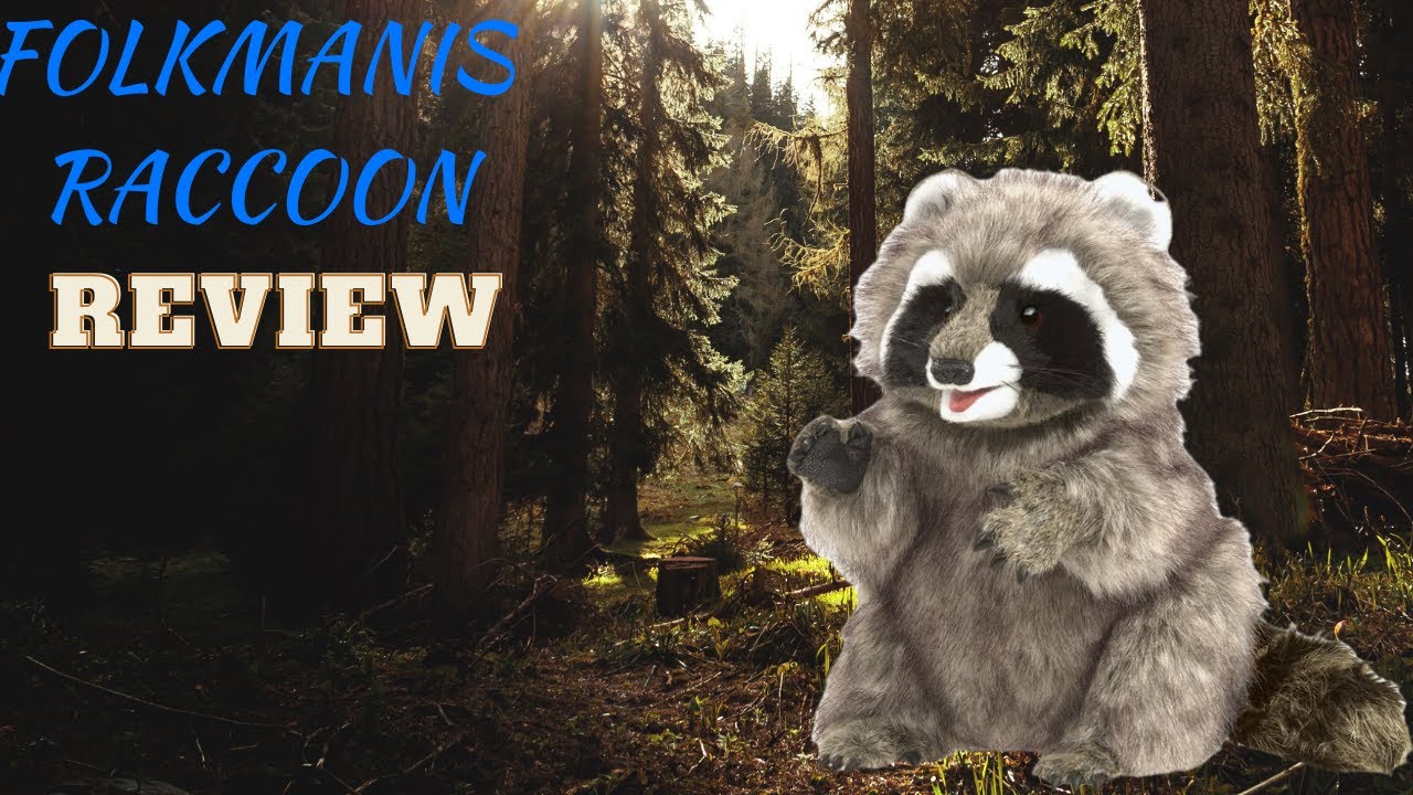 Folkmanis Raccoon Review #raccoon #racoons #puppet #review