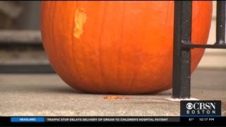 To Prevent Rats, Watertown Urges Residents Keep Pumpkins Inside