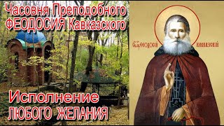 Преподобный ФЕОДОСИЙ Кавказский КМВ Исполнение любого желания Светлана ВЕДА