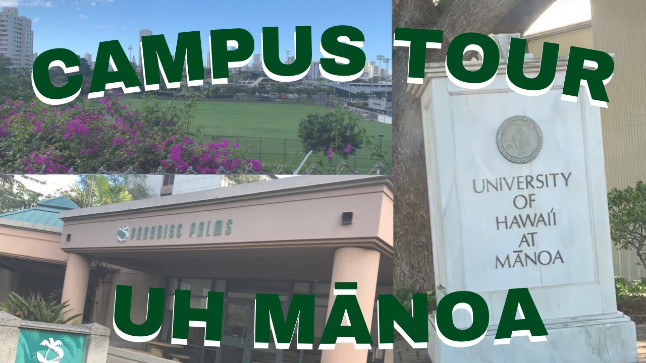 touring-my-college-campus-for-the-first-time-uh-manoa-youtube