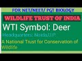 Wildlife trust of india wti