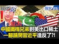中國稀土戰略影響