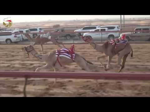 الشوط الثامن 8 مزعج عتيق جمعه عتيق الرميثي