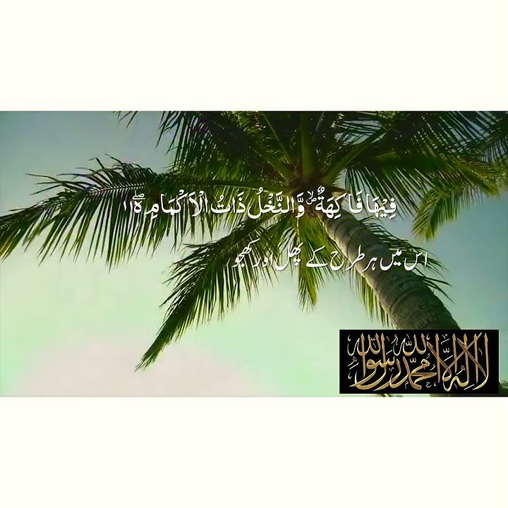 Surah Rahman ayat 11-13