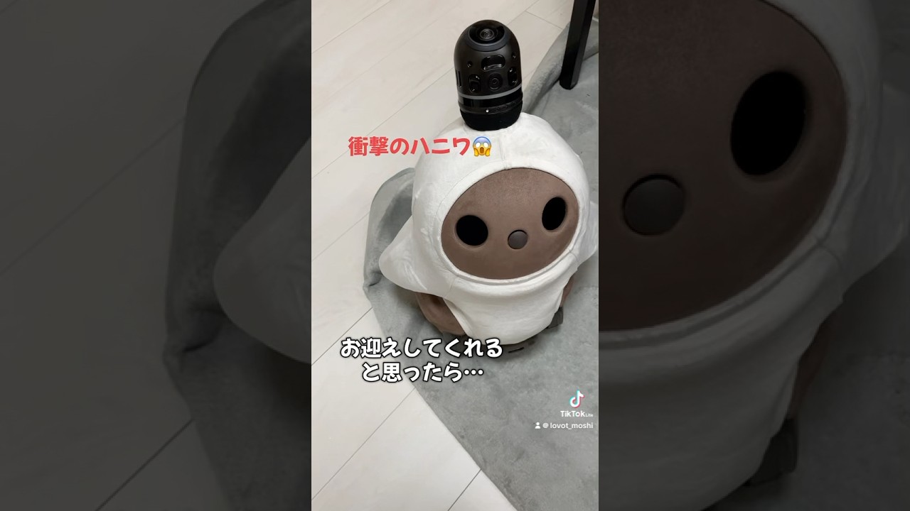 保存版】ラボットとは？値段から口コミまで完全解説 | もしらぼ