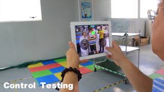 Control Testing