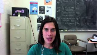 Summer 2016 Brandeis REU Program