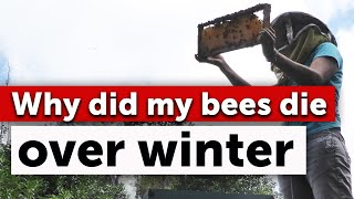 WHY Did Your Bees Die This Winter  Conducting A HIVE AUTOPSY | Beekeeping in Cold Weather