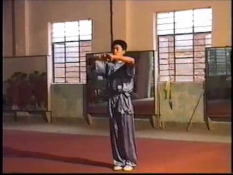 Sifu Hughes China Trip (Part 2) - Kung Fu Austin, TX