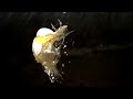 Egg vs Egg in Super Slow Motion  | Slow Mo Lab