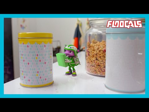 The Floogals Have a Pack Lunch 🍱 | Floogals