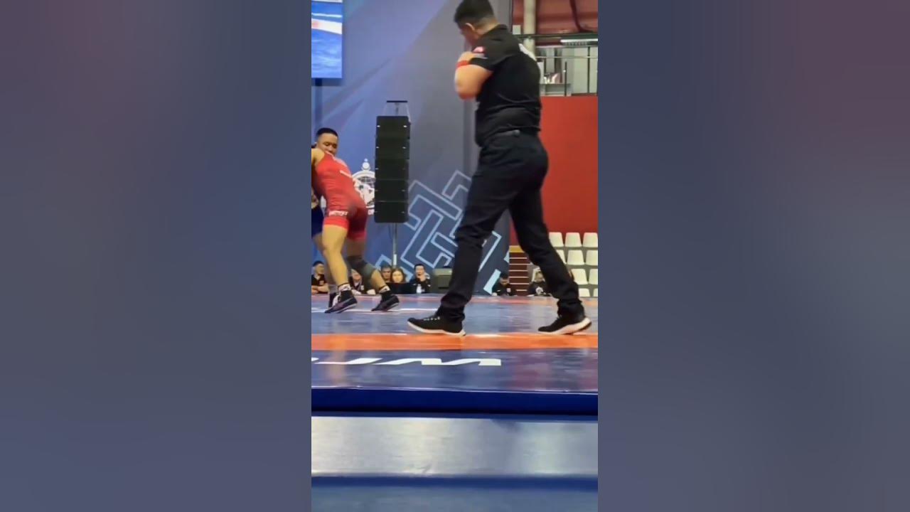 Давид Баев Вольная борьба