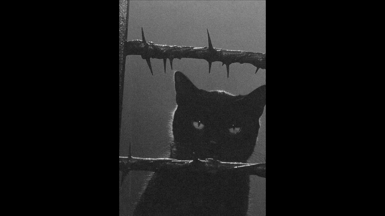 [FREE] Future Type Beat  (HARD) - 