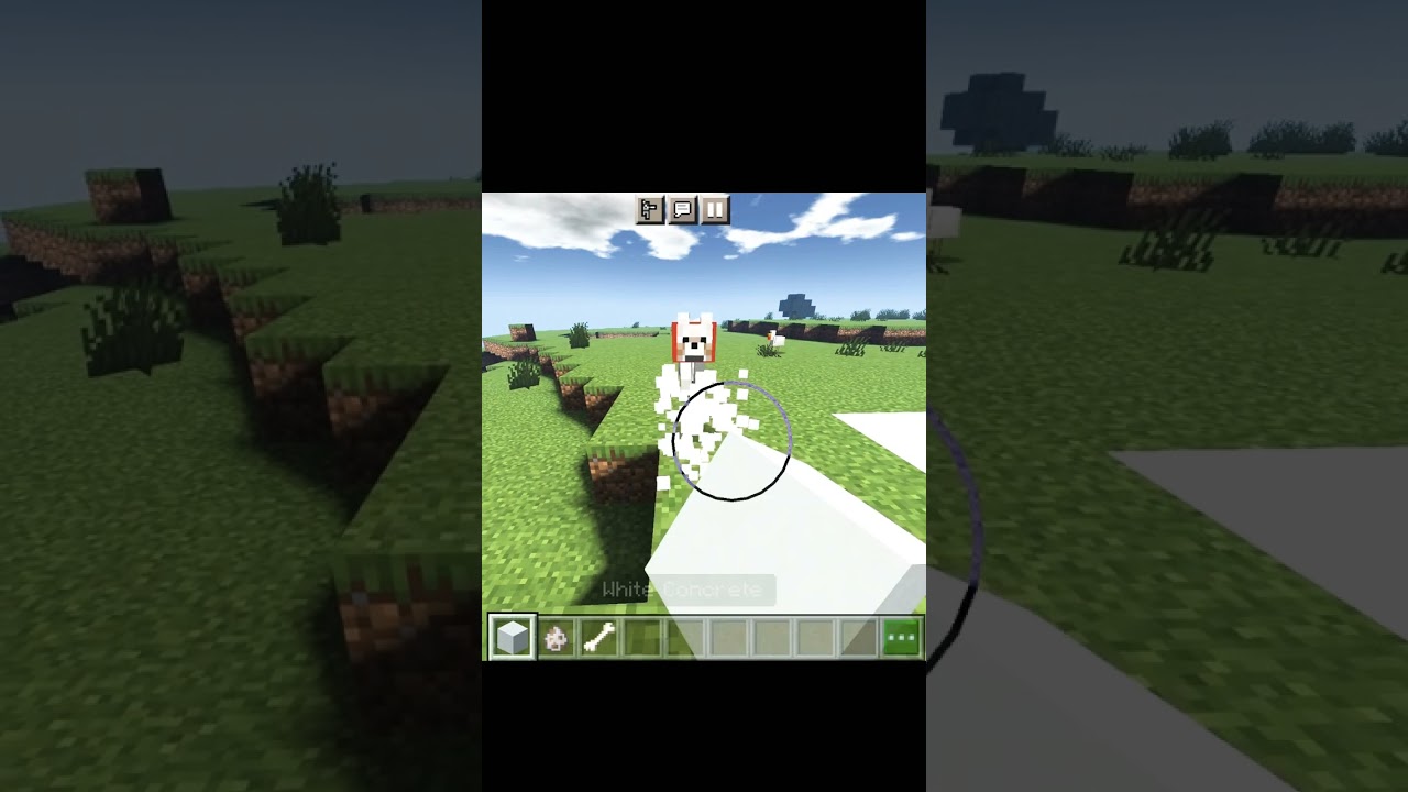 CAN MINECRAFT DOGS TELEPORT YouTube