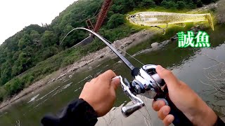 けいたのズボラな釣り動画の年収 収入はいくら Youtube ユーチューブ