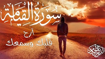 سورة القيامة كامله تلاوة خاشعة بصوت يلمس نبض القلوب 💙🌺 للقارئ الشاب محمد القطان 💚🌺😍